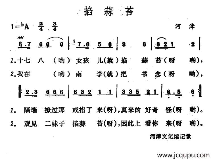 掐蒜苔 （山西河津山歌）简谱