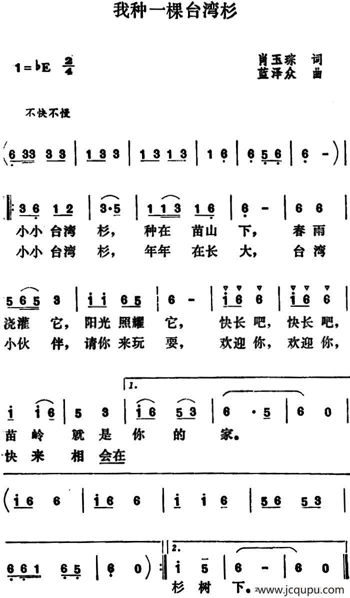 我种一棵台湾杉简谱