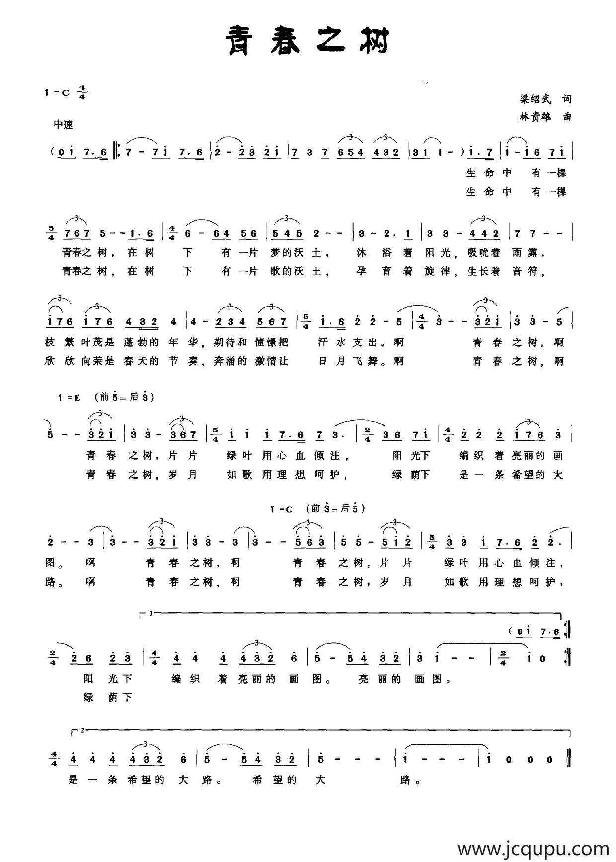 青春之树简谱
