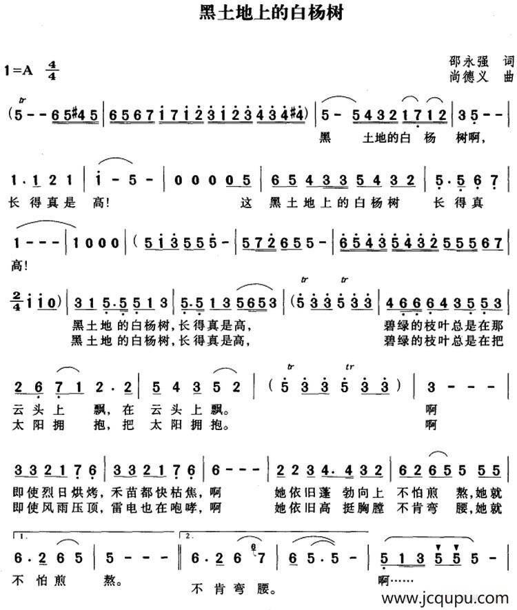 黑土地上的白杨树简谱