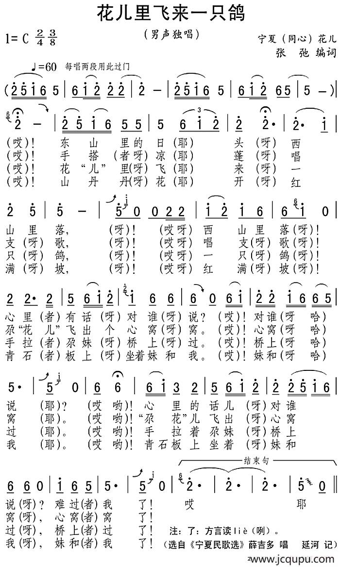 花儿里飞来一只鸽简谱