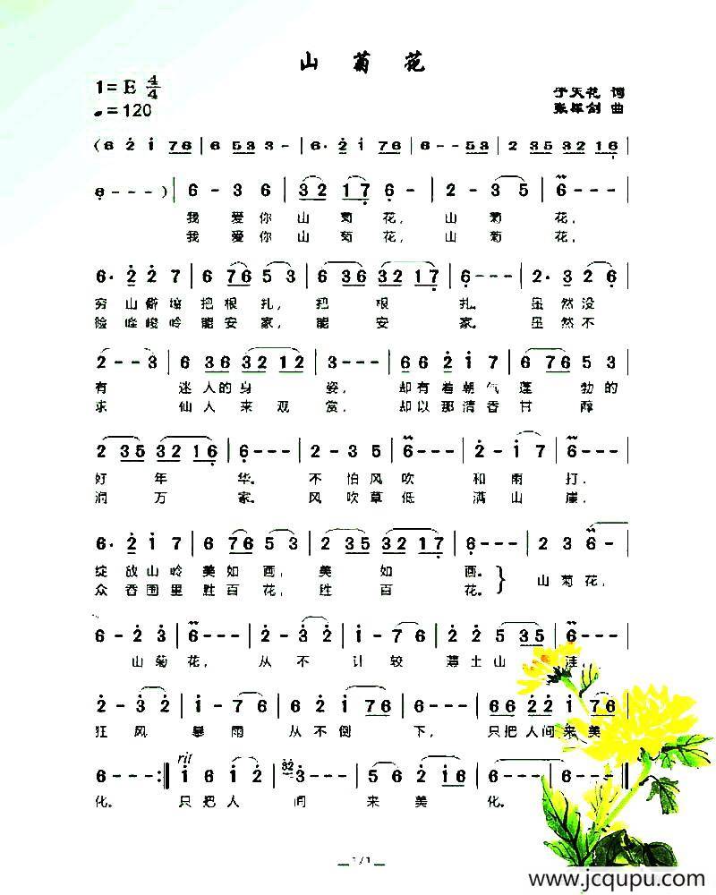 山菊花(于天花词 张犀剑曲)简谱-曲谱 - 酷好简谱