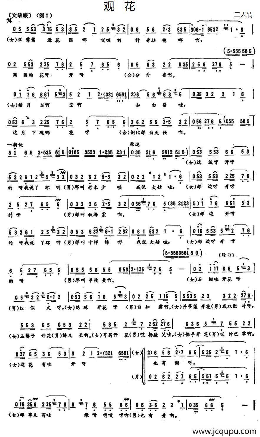 观花简谱
