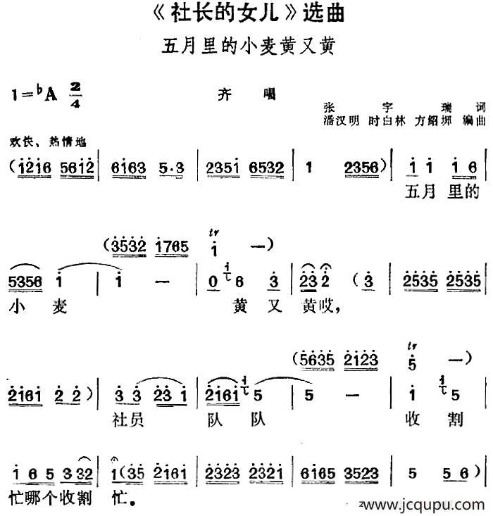 《社长的女儿》选曲：五月里的小麦黄又黄（齐唱）简谱