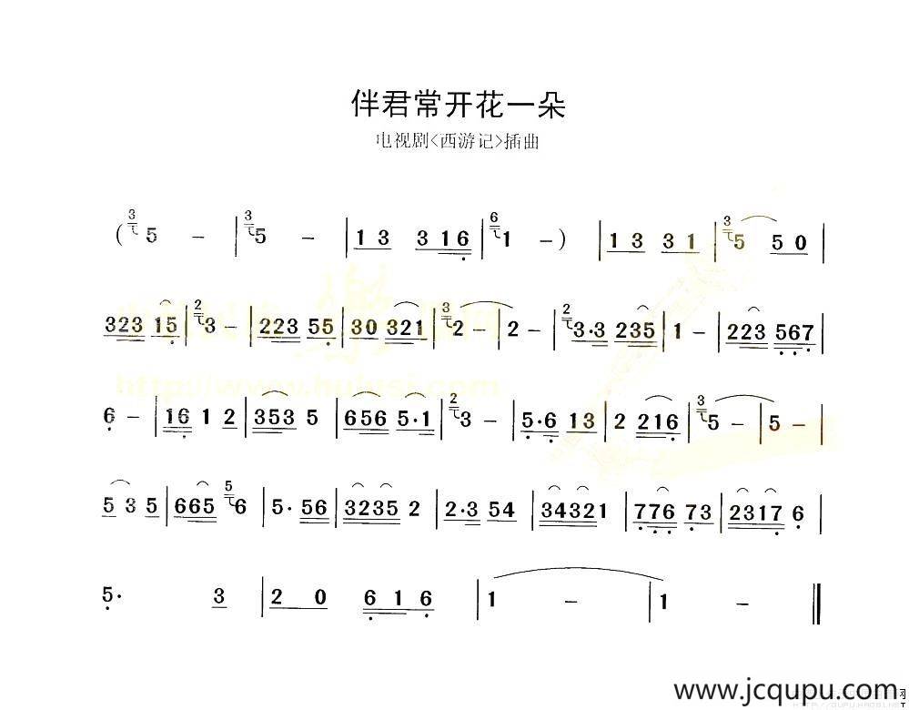 伴君常开花一朵简谱