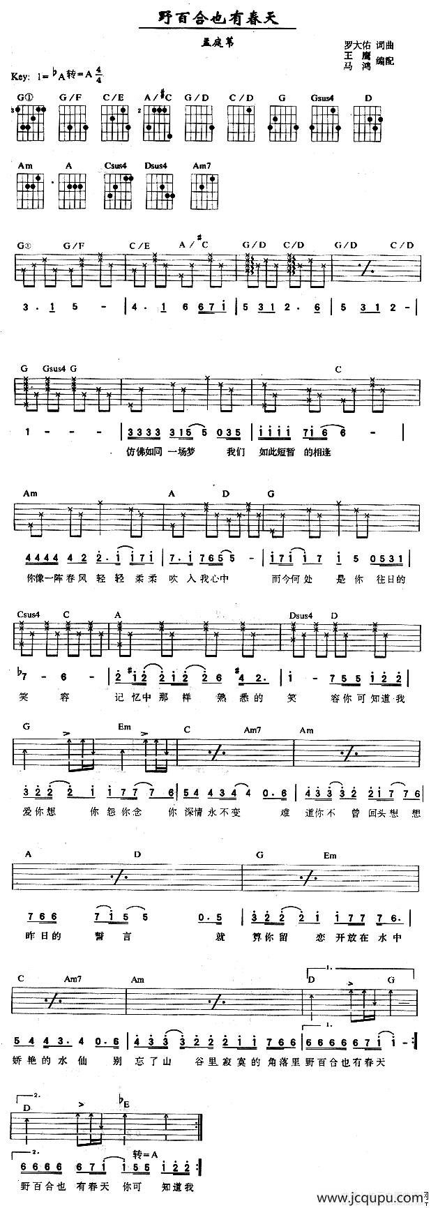 野百合也有春天（王鹰编配版）简谱