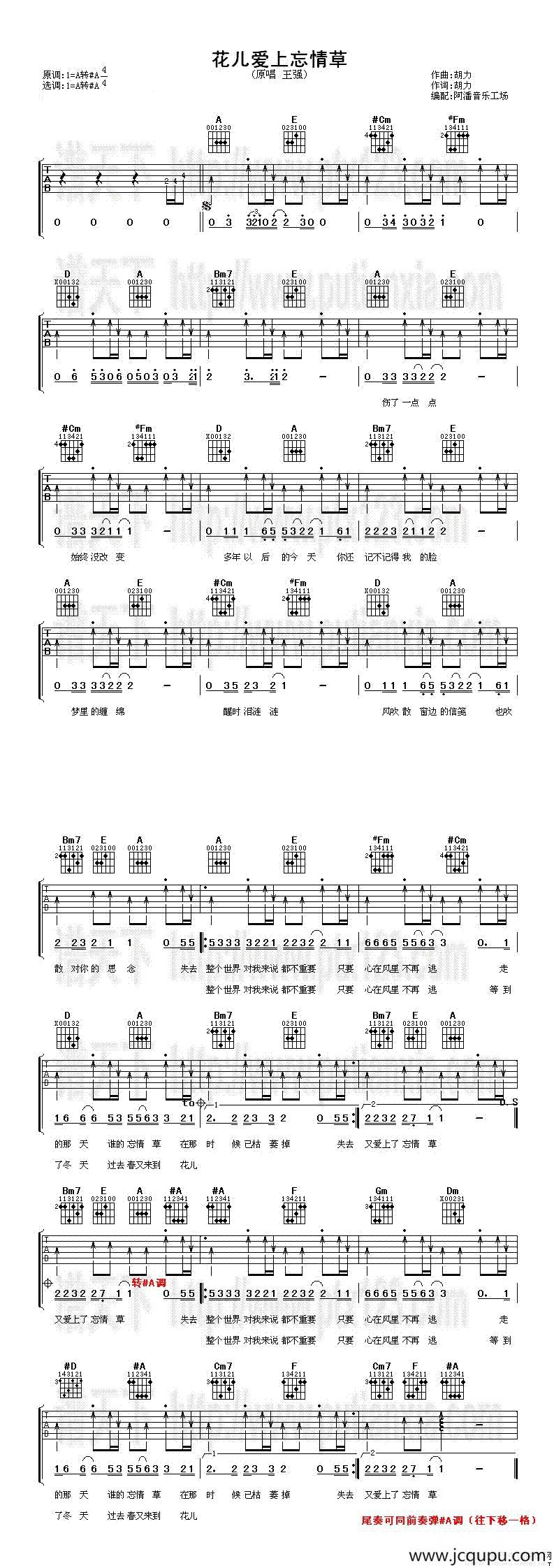 花儿爱上忘情草简谱