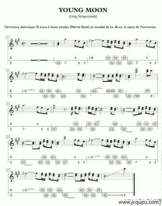 YOUNG MOON（A调口琴）简谱