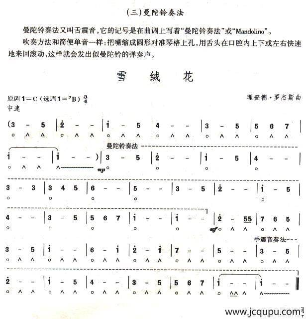 考级六级曲目：雪绒花简谱