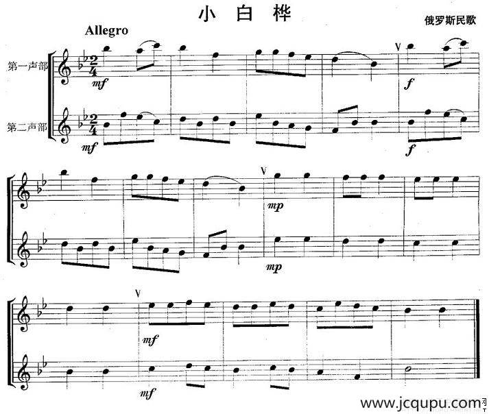 小白桦（重奏）简谱