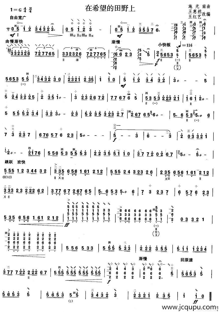 柳琴考级曲目四级：在希望的田野上简谱