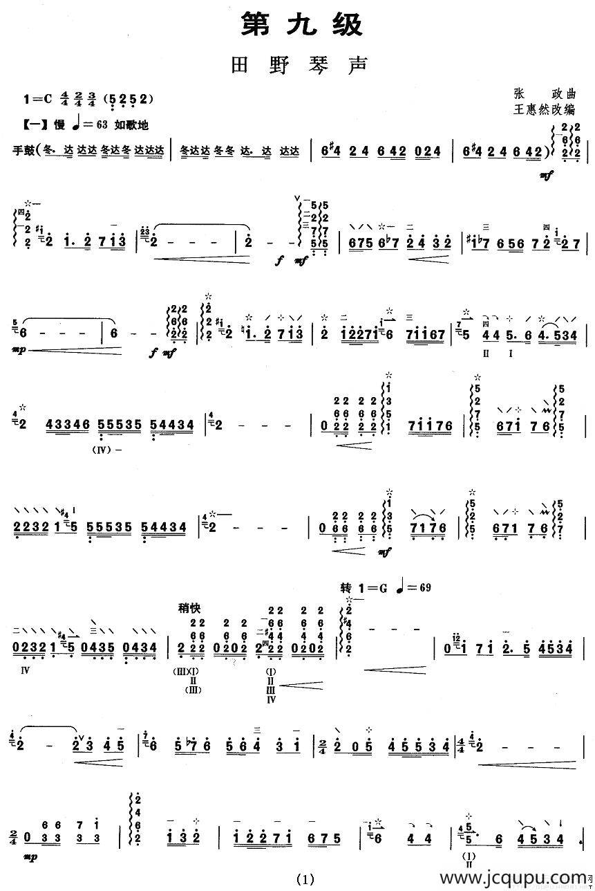 柳琴考级曲目九级：田野琴声简谱