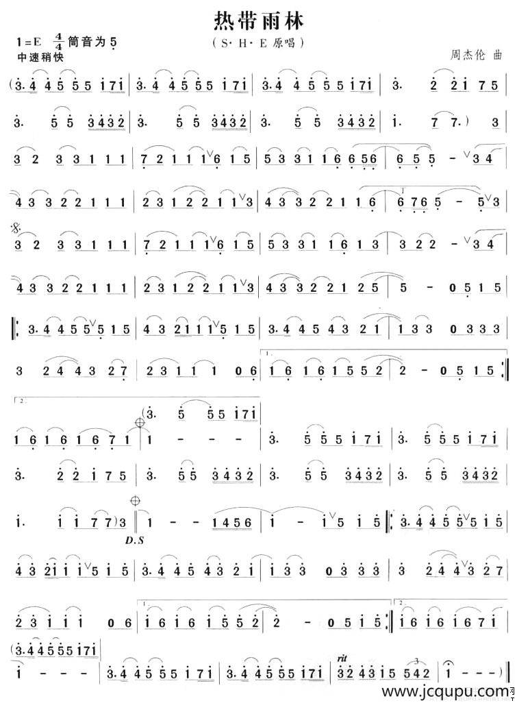 热带雨林简谱