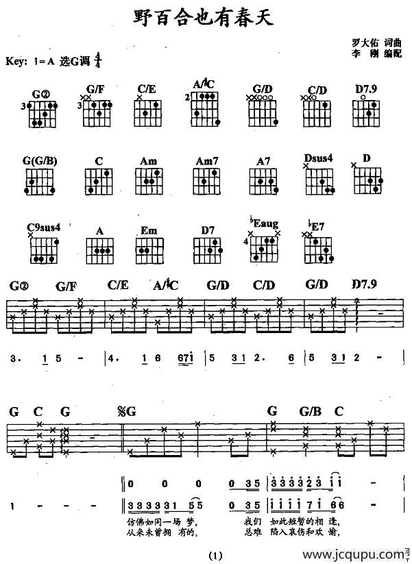 野百合也有春天（李刚编配版）简谱