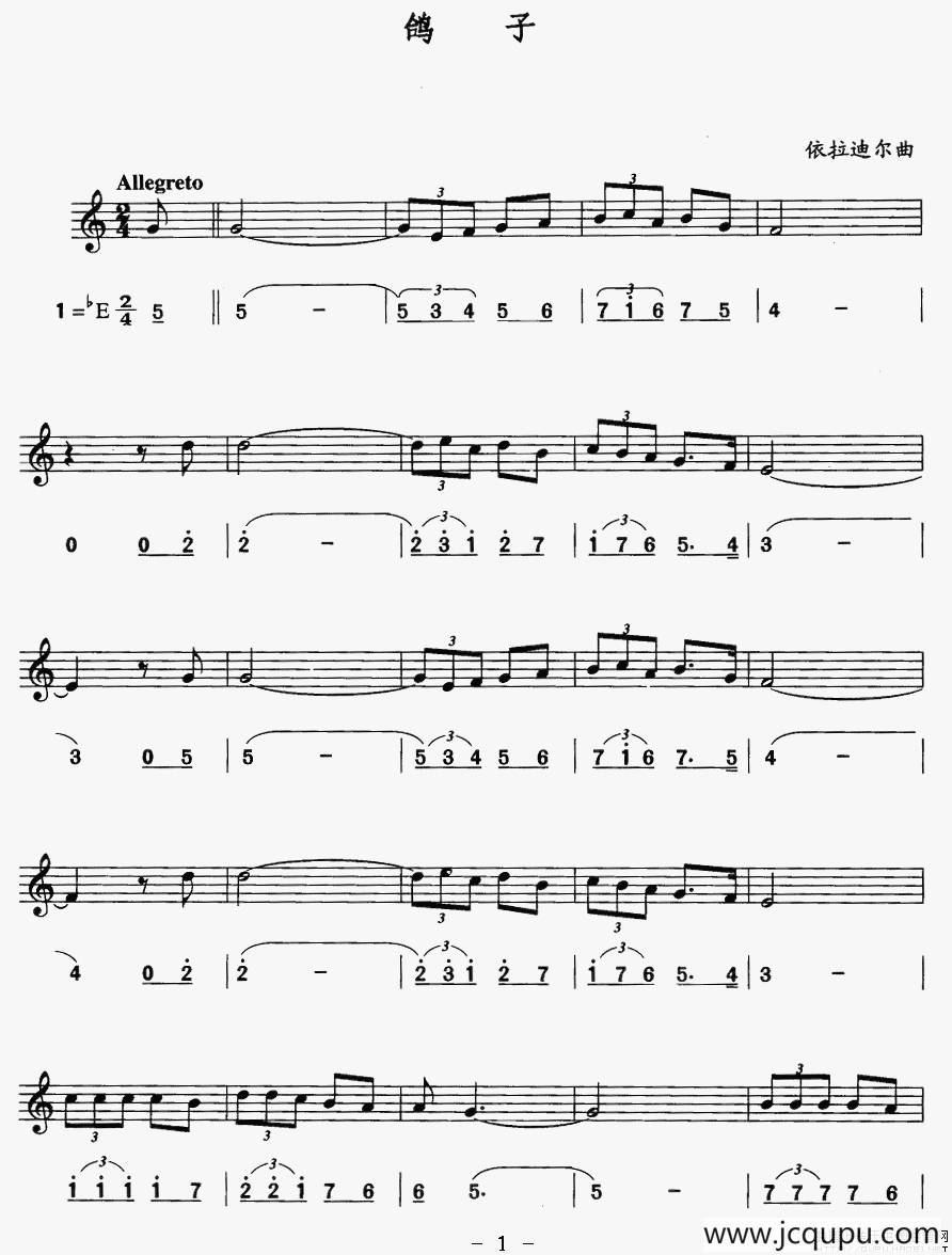 鸽子（线、简谱混排版）简谱