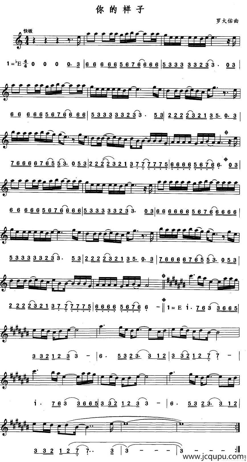 你的样子（线简谱对照版）简谱