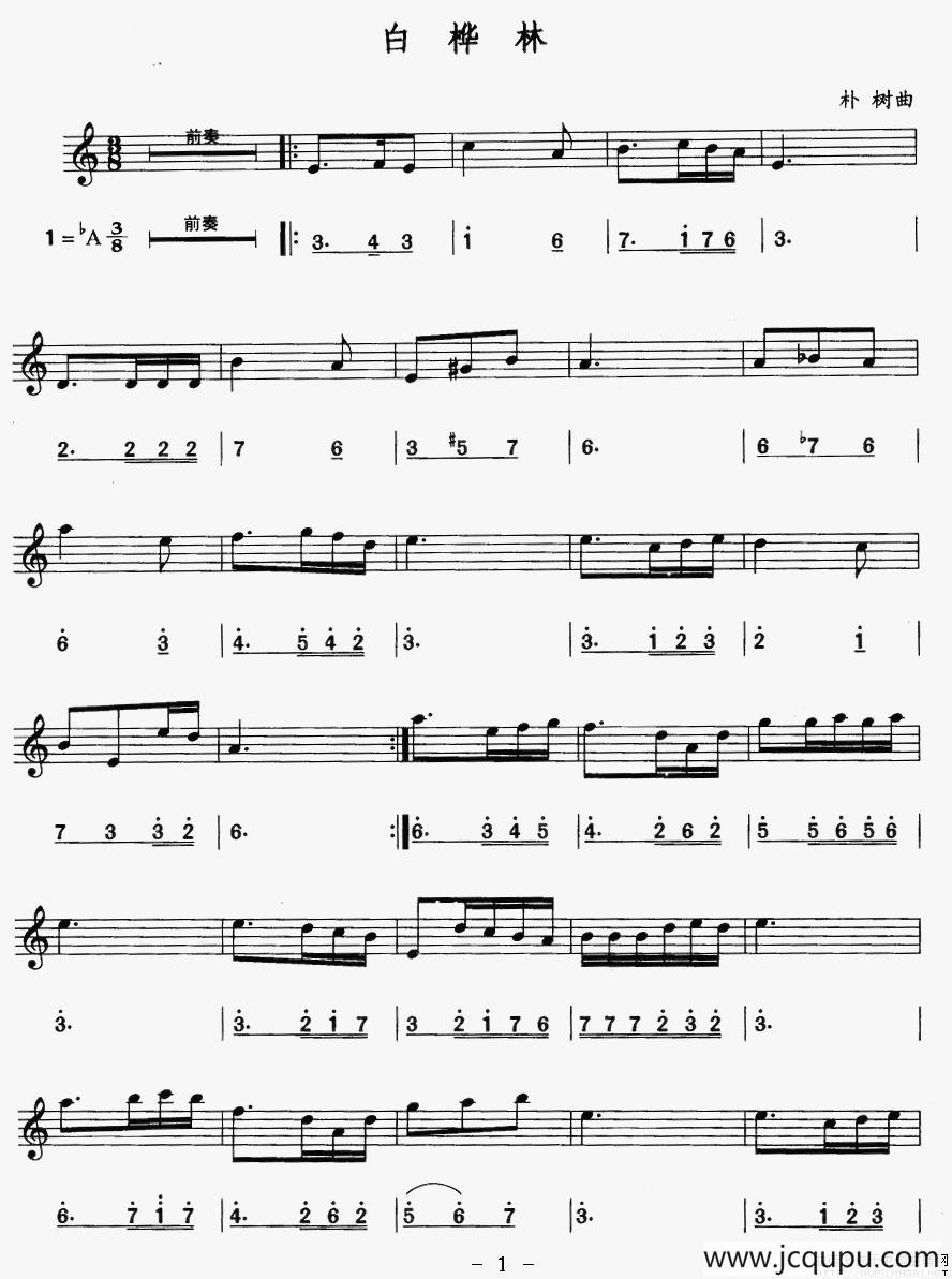 白桦林（线简谱对照版）简谱
