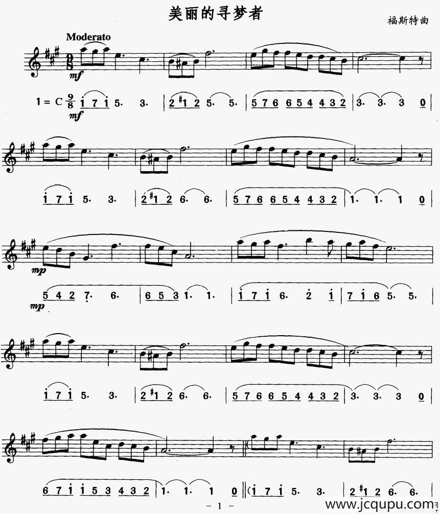 美丽的寻梦者（线简谱对照版）简谱