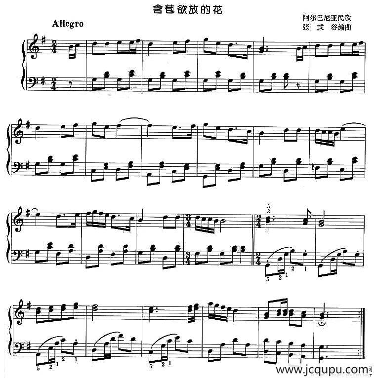 含苞欲放的花简谱