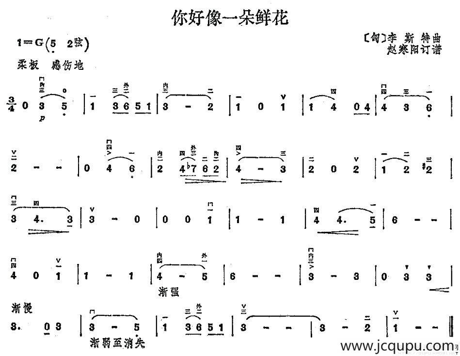 你好像一朵鲜花简谱
