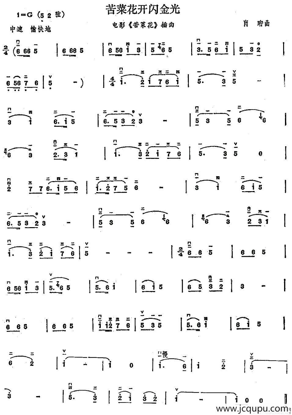 苦菜花开闪金光简谱