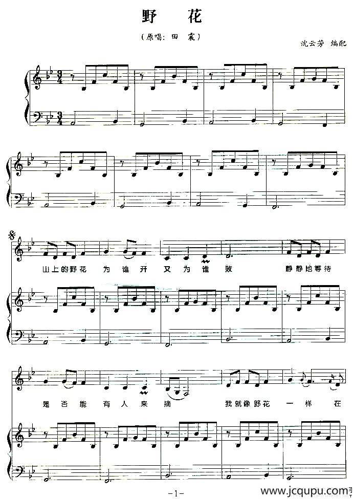 野花（弹唱谱）简谱