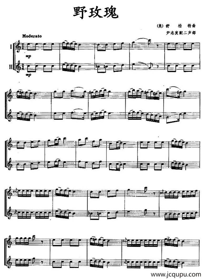 野玫瑰（二重奏）简谱