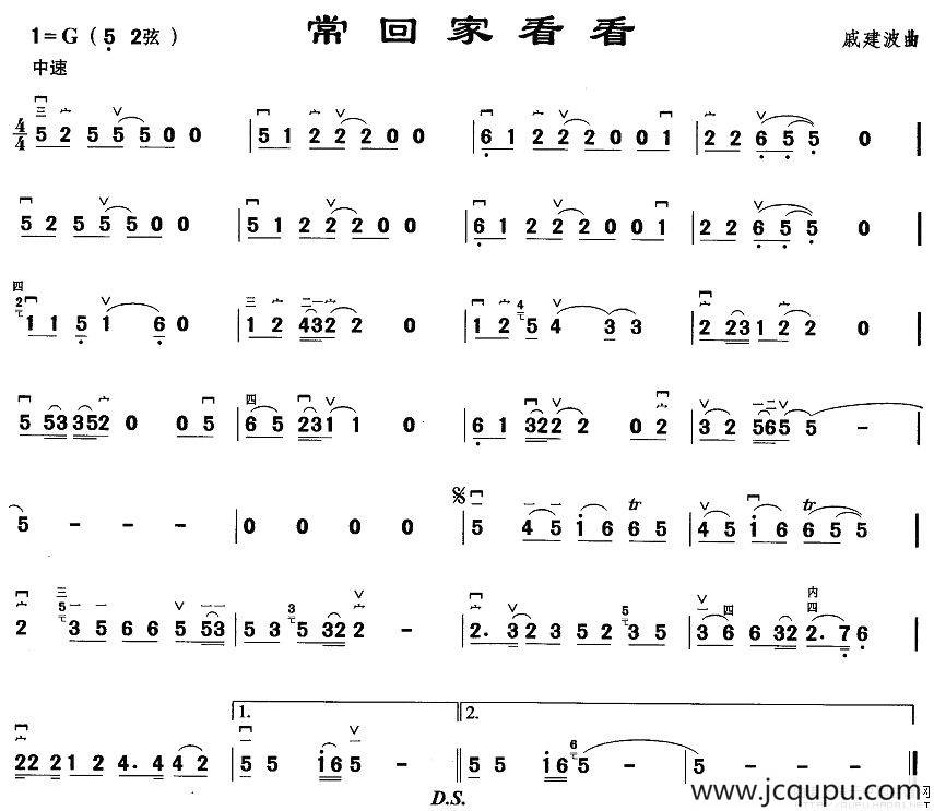 常回家看看简谱