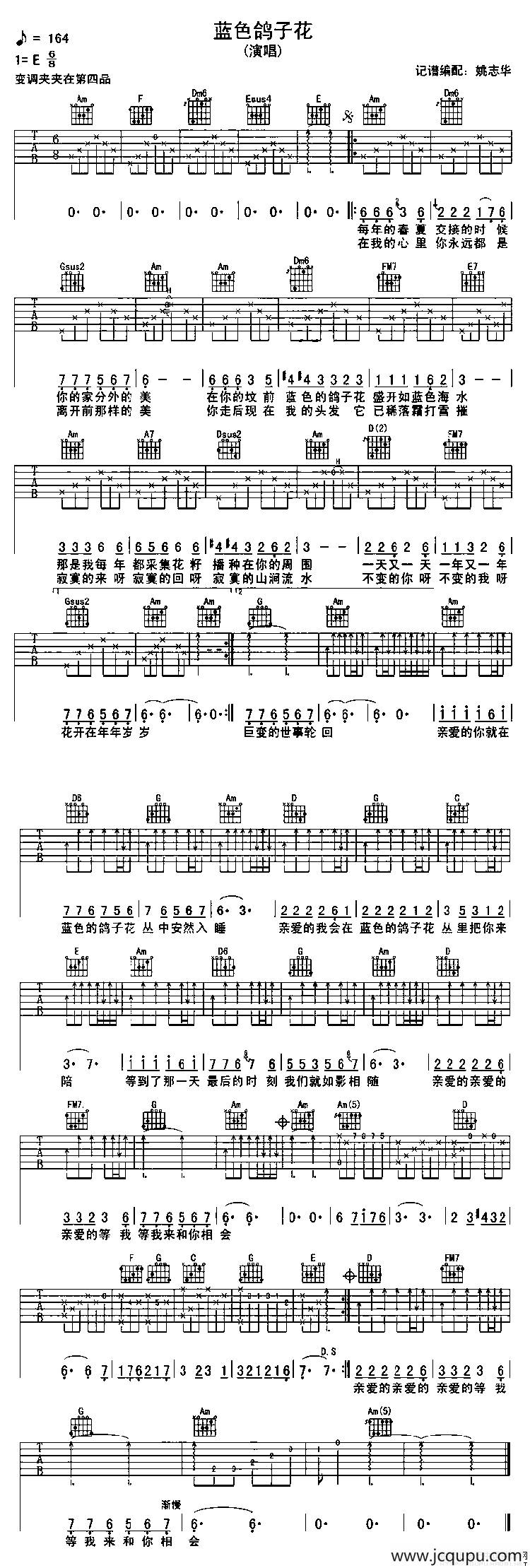 蓝色鸽子花简谱