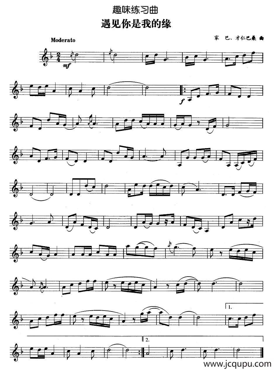 趣味练习曲：遇见你是我的缘简谱