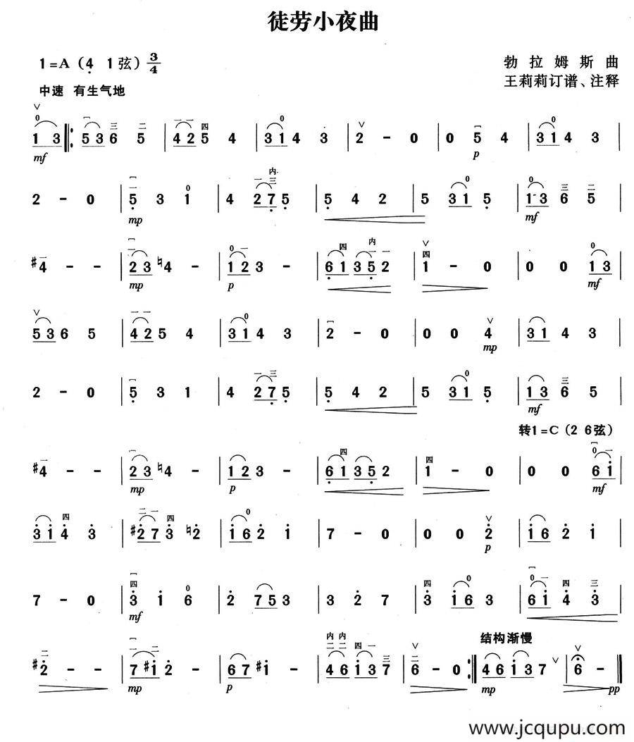 徒劳小夜曲简谱