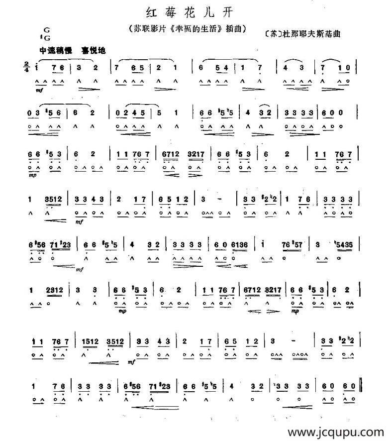 红莓花儿开简谱