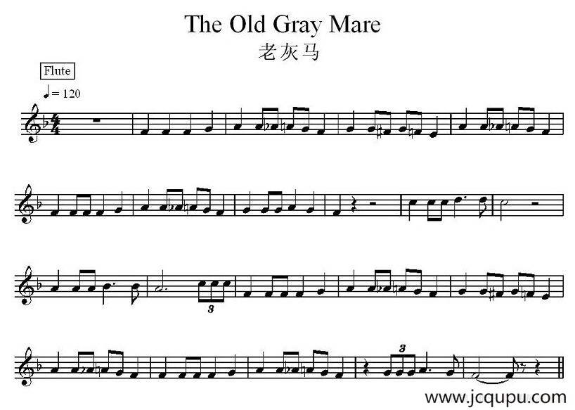 老灰马简谱