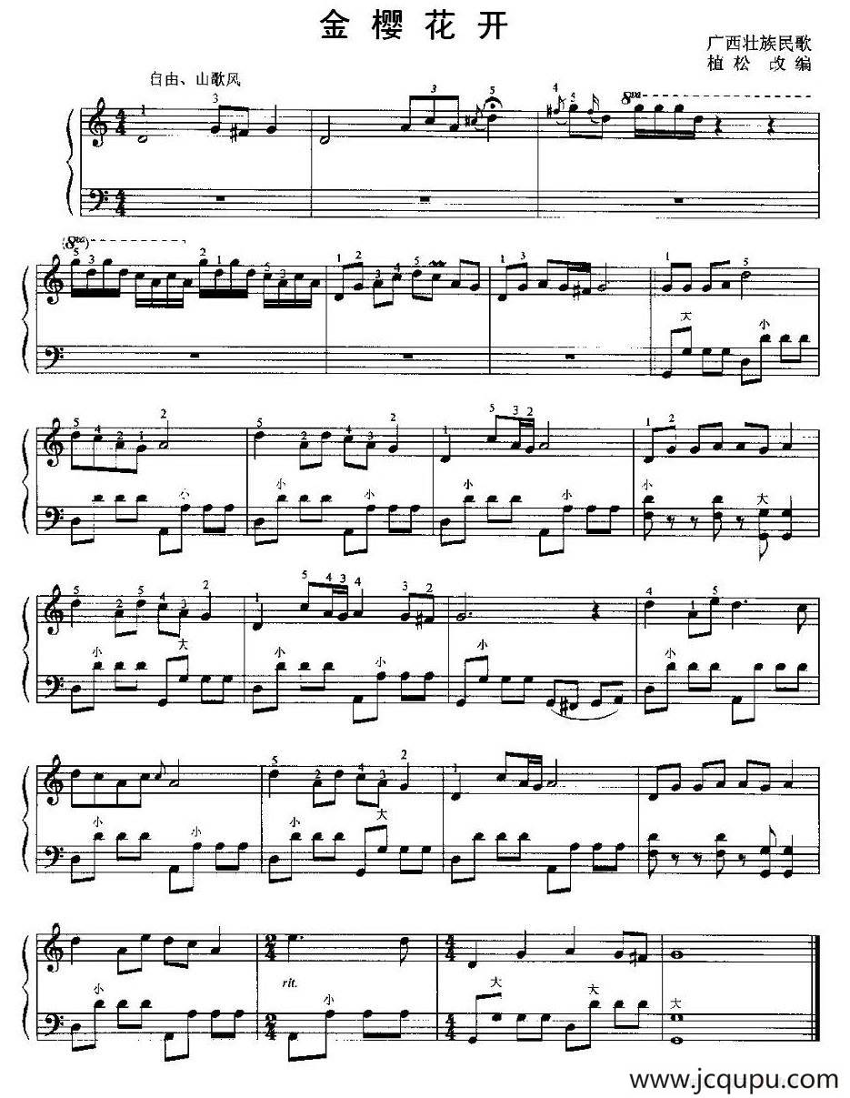 金樱花开简谱
