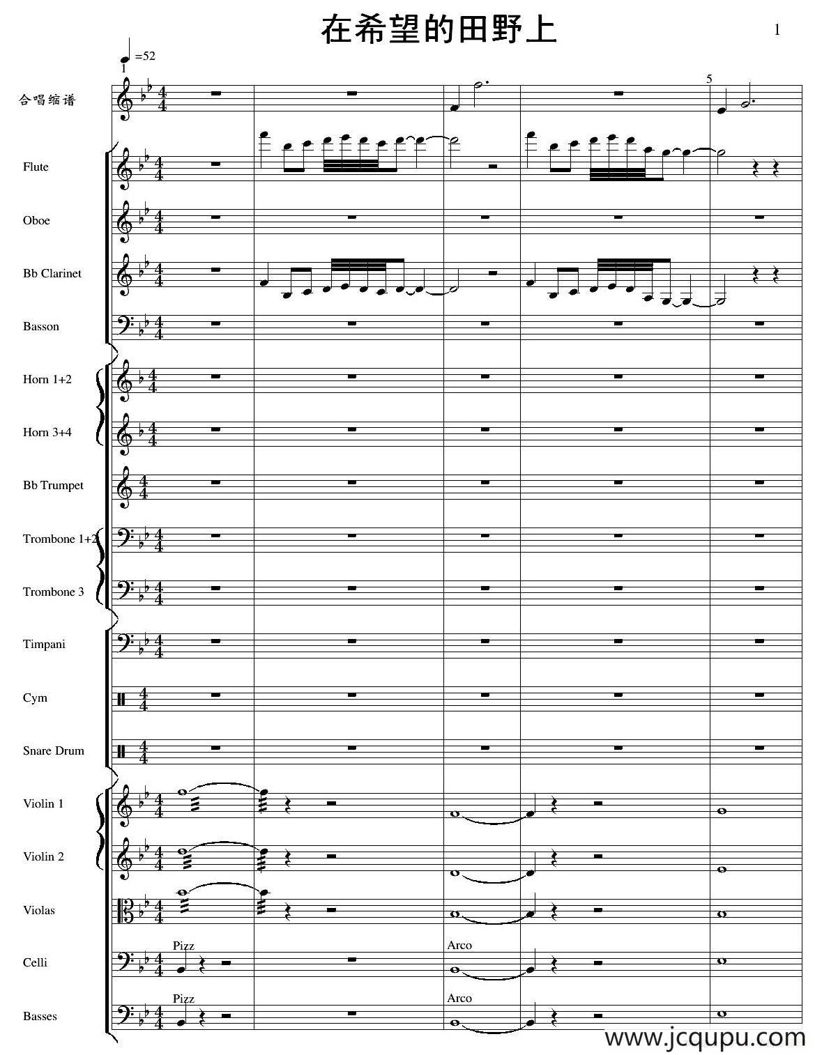 在希望的田野上 （管弦乐总谱）简谱