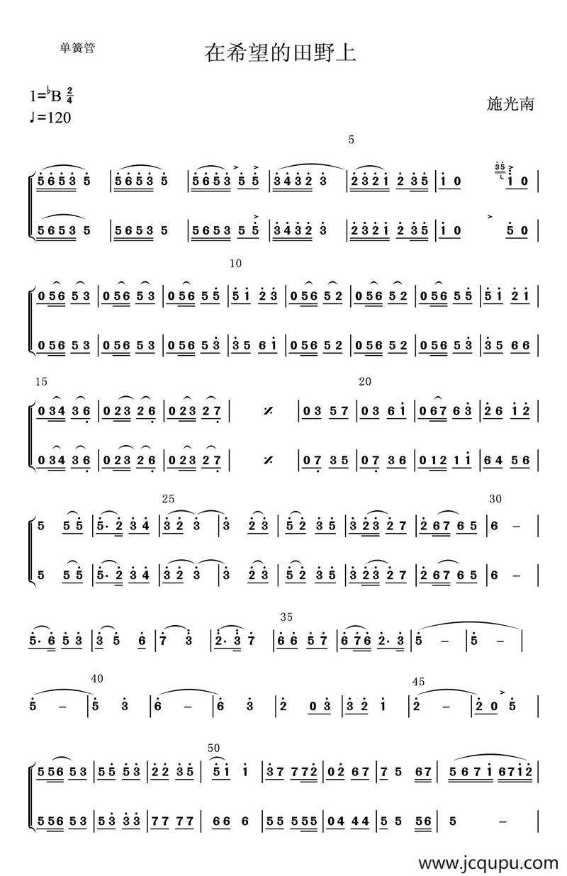 在希望的田野上（单簧管）简谱