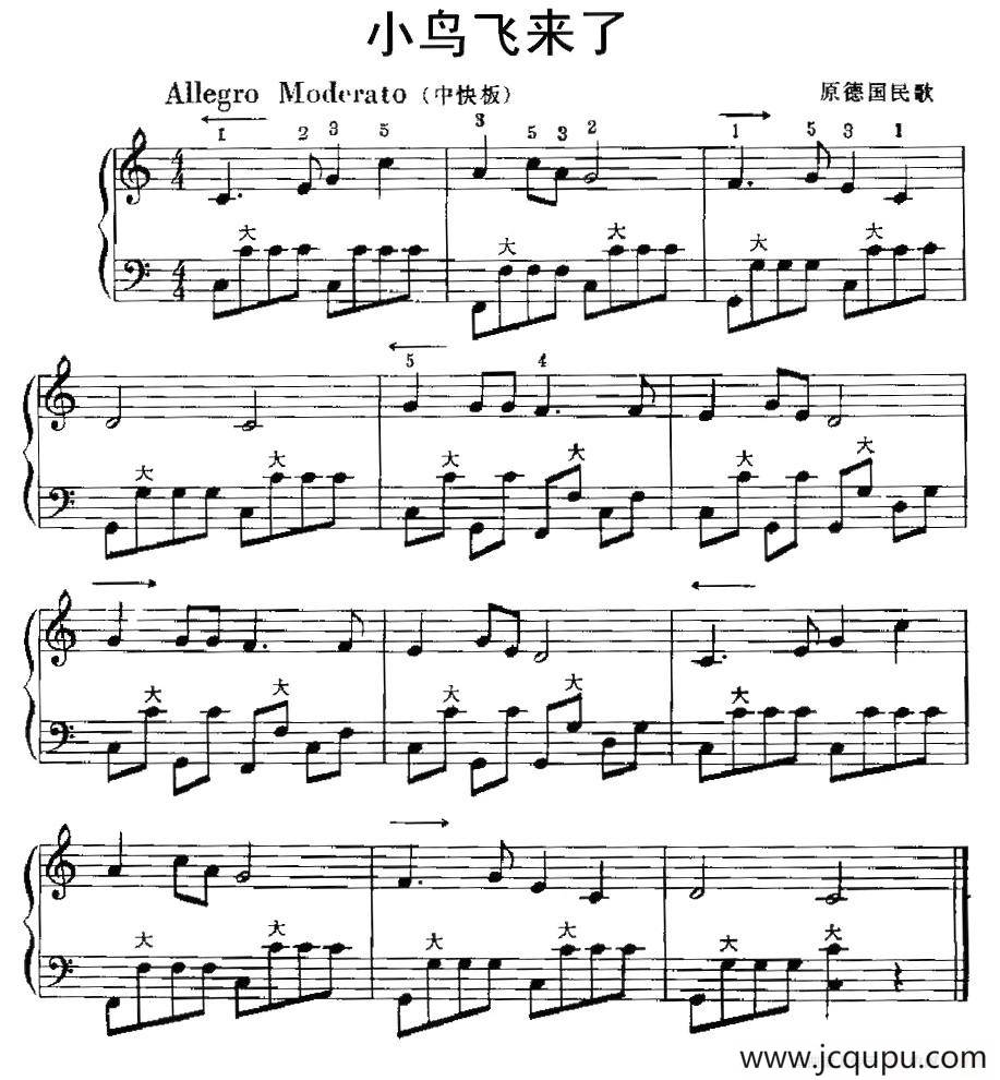 小鸟飞来了简谱