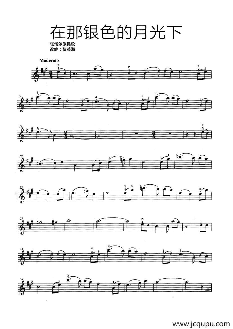 在那银色的月光下（黎英海改编版）简谱