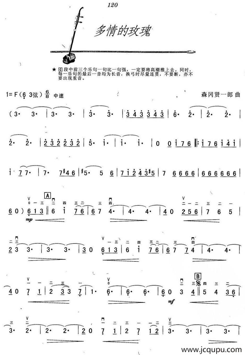 多情的玫瑰简谱