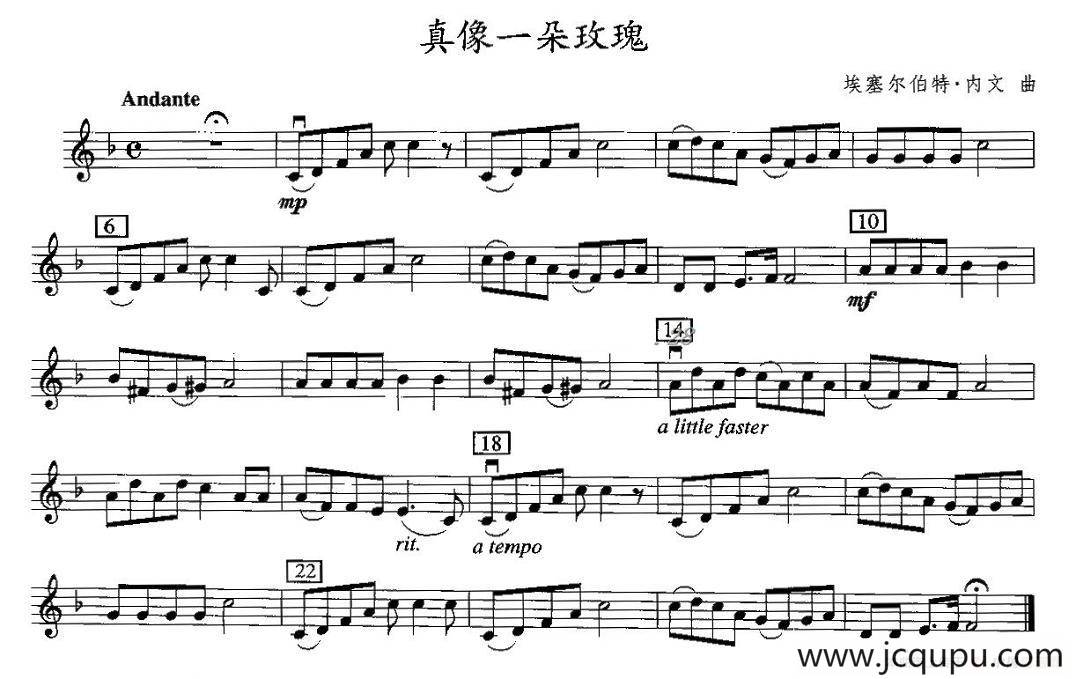 真像一朵玫瑰简谱