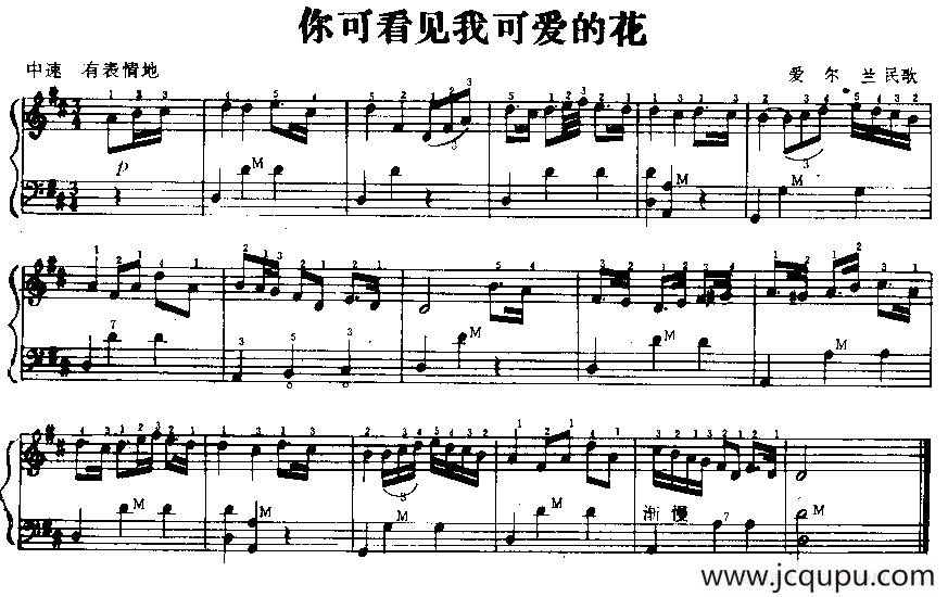 你可看见我可爱的花（爱尔兰民歌）简谱