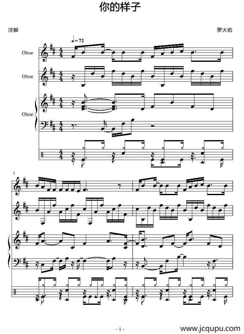 你的样子（双簧管合奏）简谱