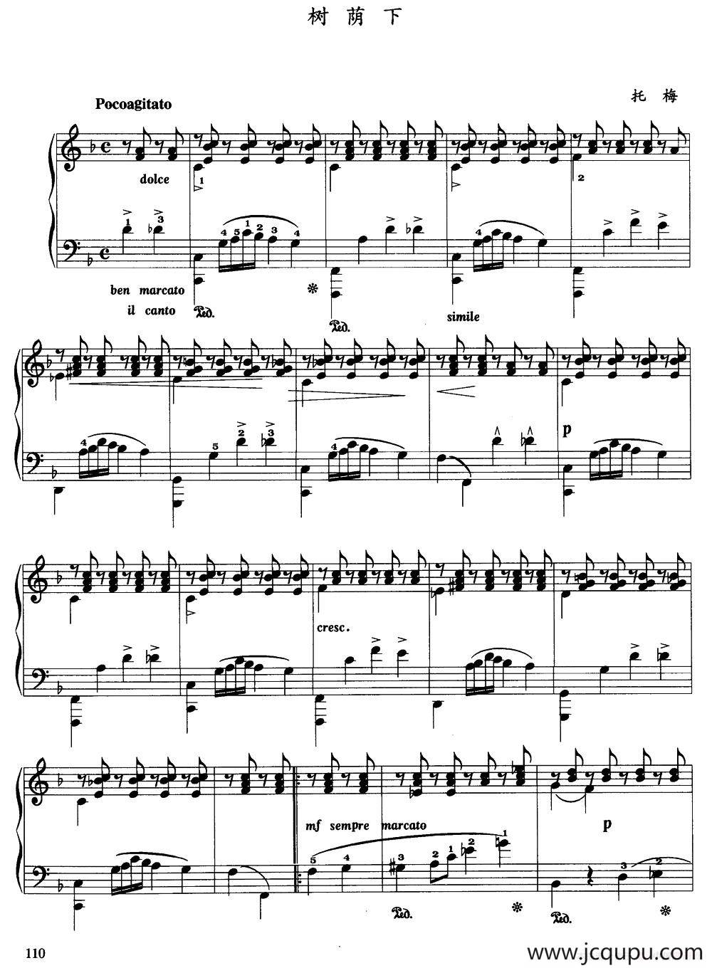 树荫下简谱