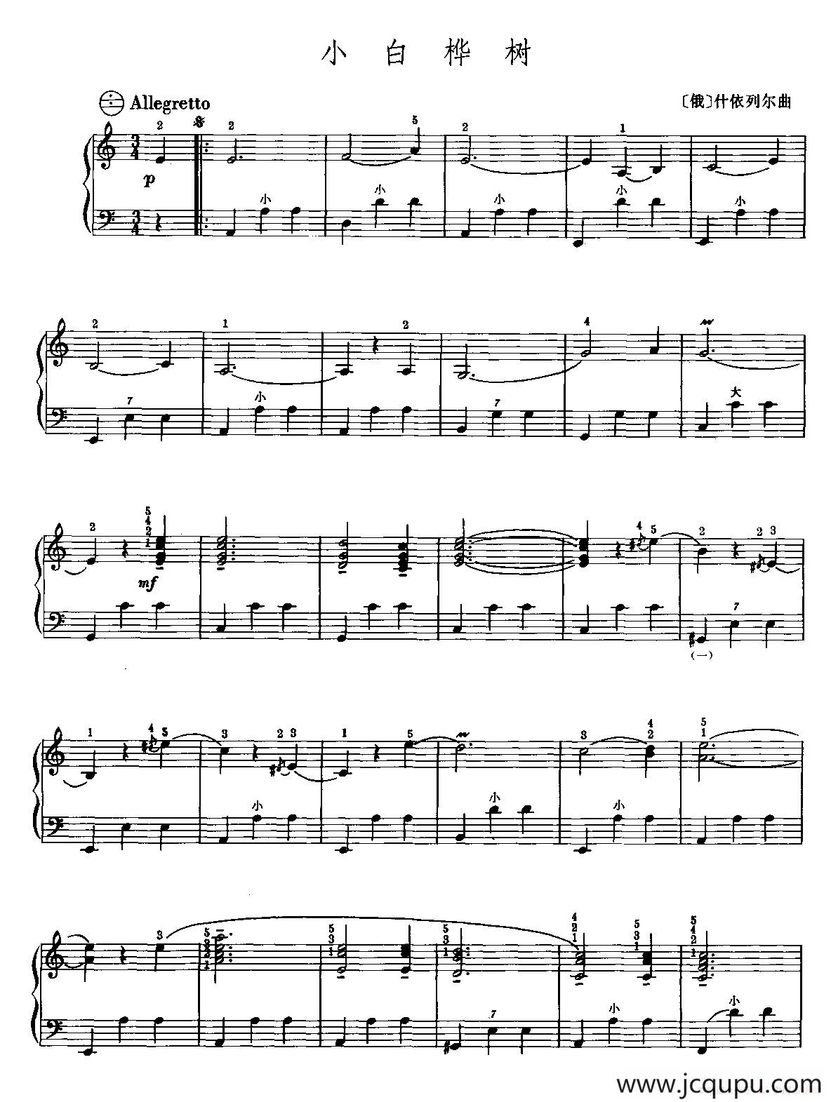 小白桦树简谱