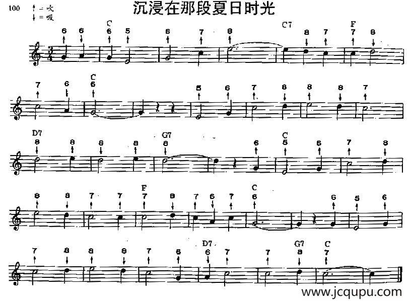 沉浸在那段夏日时光（布鲁斯）简谱