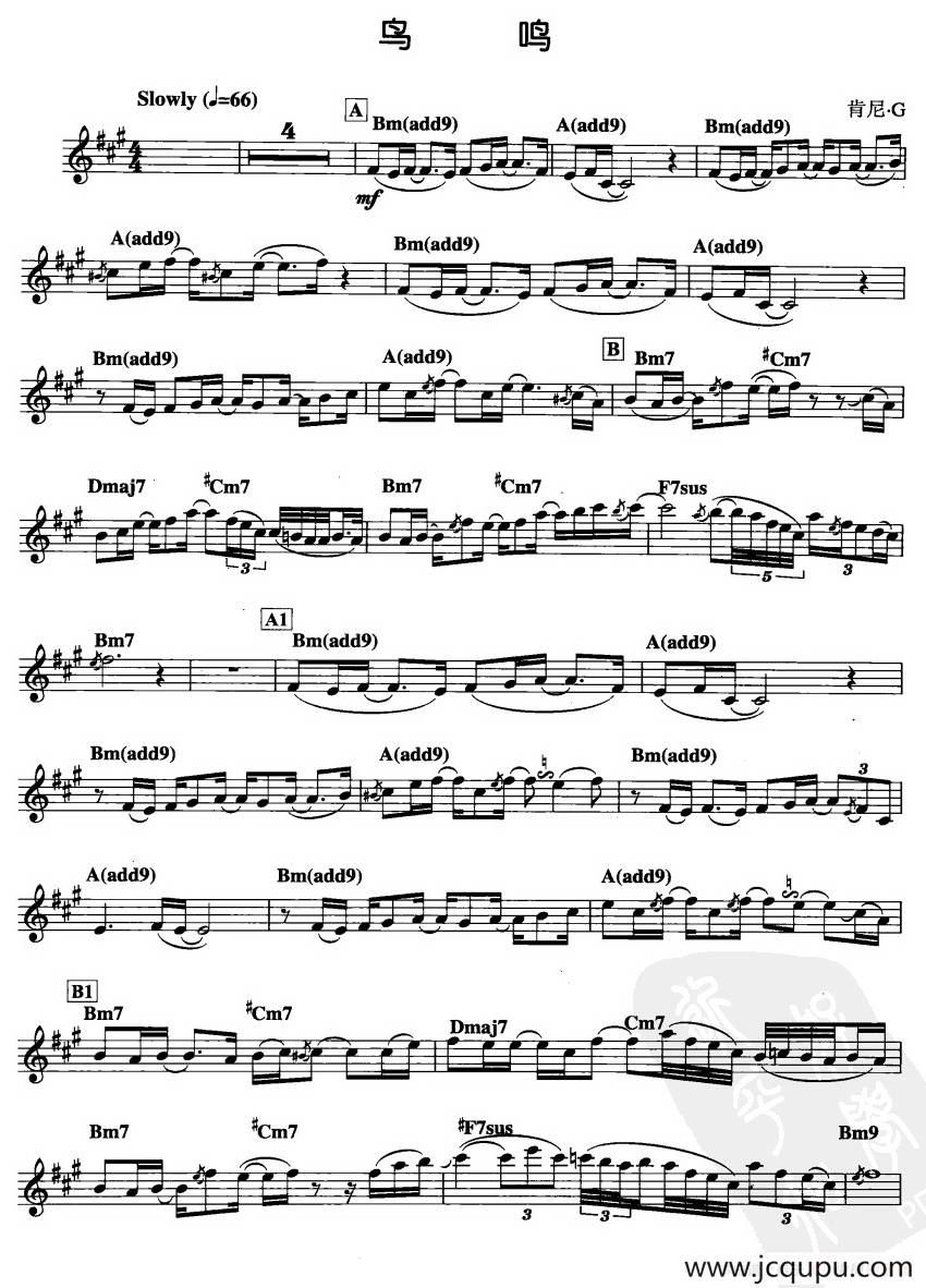 鸟鸣简谱