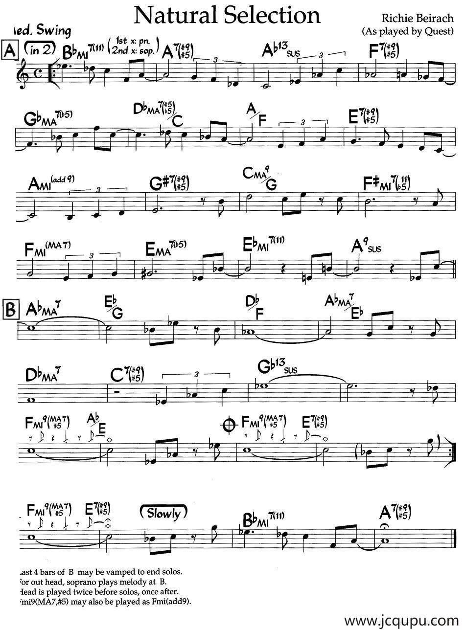 Natural Selection（爵士钢琴曲）简谱