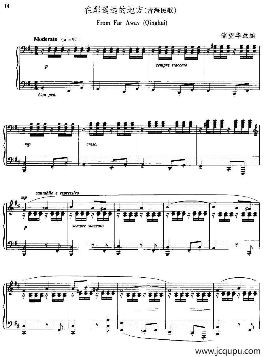 在那遥远的地方（储望华改编版）简谱