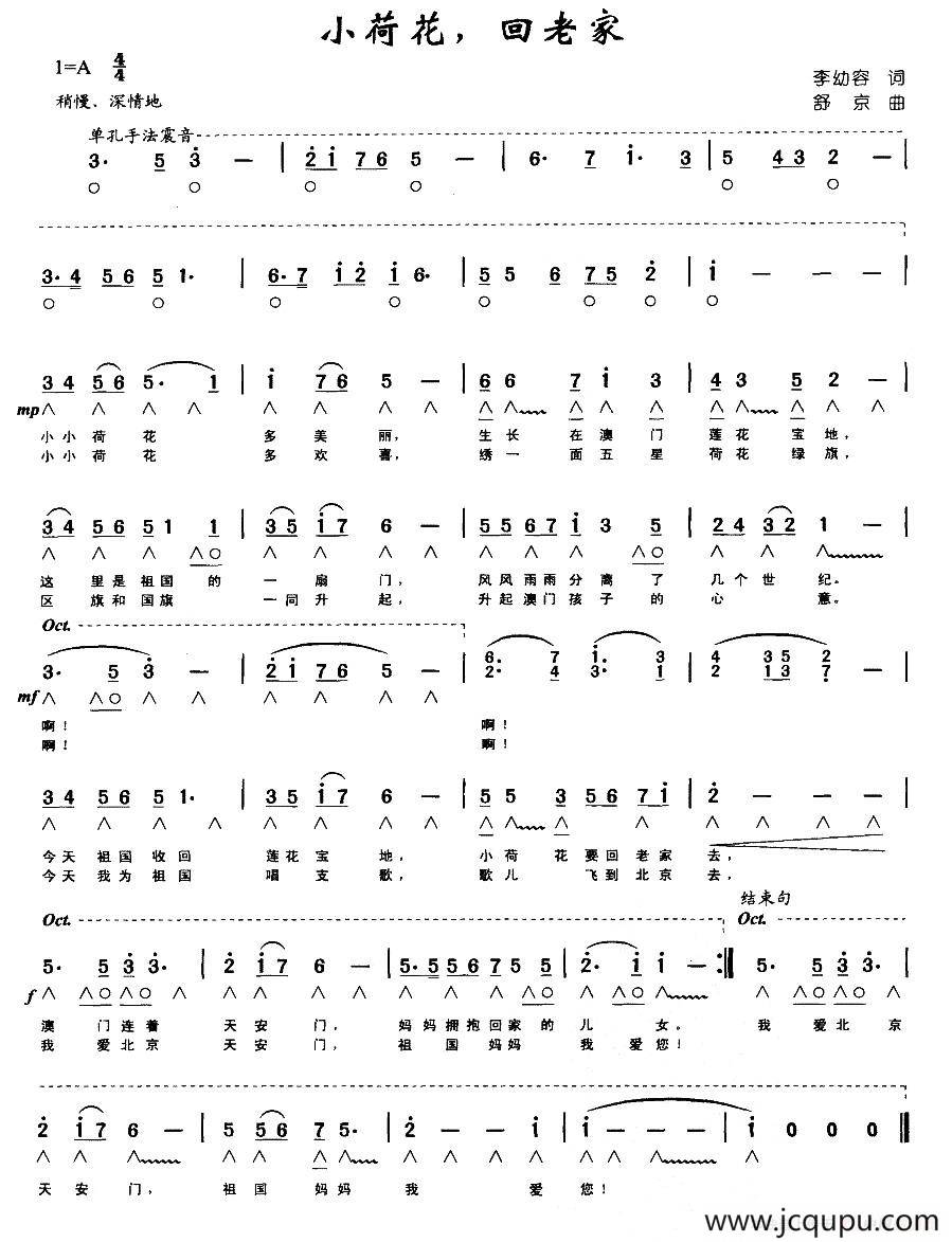 小荷花，回老家（带歌词版）简谱