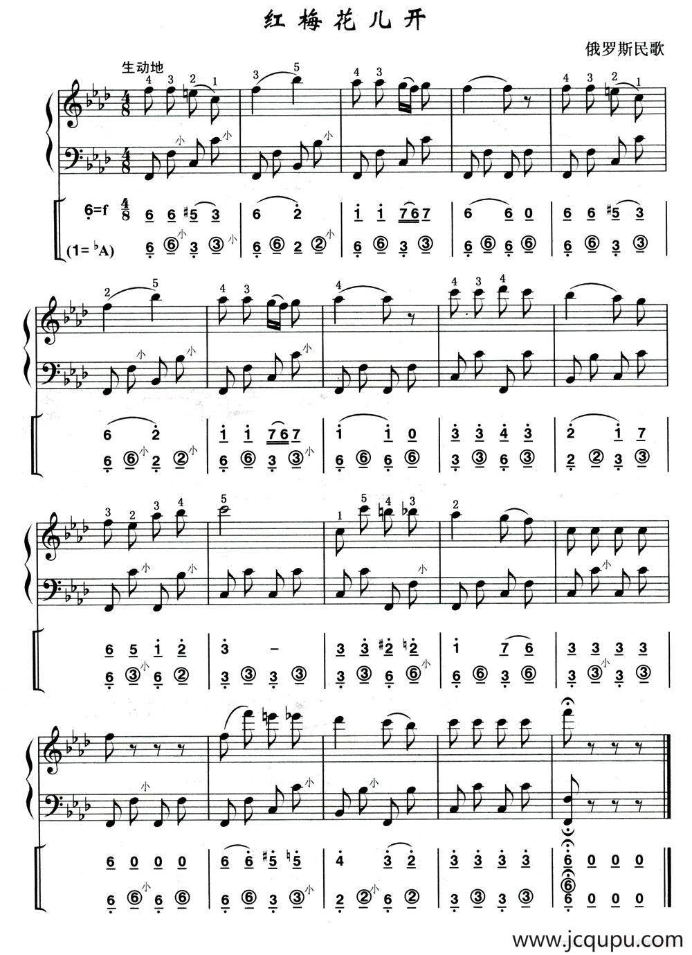 红莓花儿开（俄罗斯民歌）（线简谱混排版）简谱